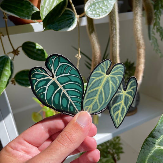 "Anthurium Addict" Leaf Plant Stickers