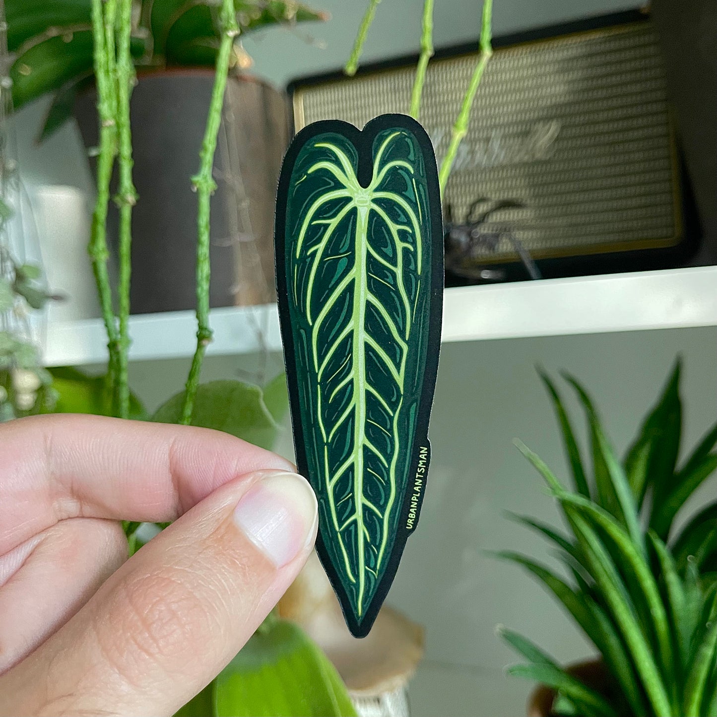 "Queen Anthurium" - LONG Leaf Plant Sticker